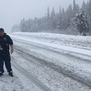 Meet your Posher, Troy